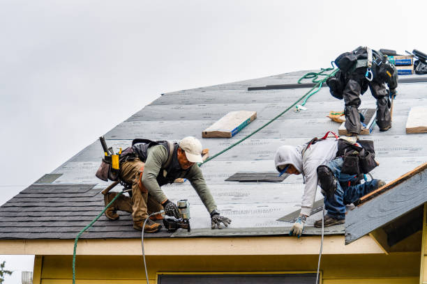 Professional Roofing technician working in South Hill, VA